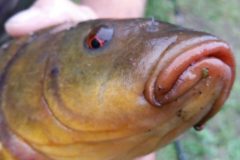 169553af-86dc-4d4d-9528-5515de647952-e1748076365812