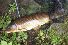 7e371c06-8353-4cf8-b0b6-085316495f4d-e1748074661814