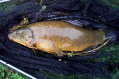 8dc41476-8118-41af-b1d2-d149be94cb1e