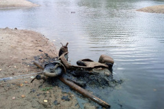 Motorroller Anfang 2000 im Kuhteich geborgen