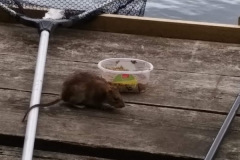 c484e238-3502-40cf-b0ae-9f09b970d198