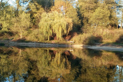 ca49cb25-fc3f-47f6-9215-2a3c92e66050