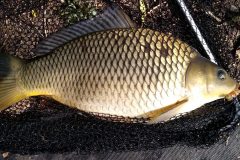 ec430a92-7290-4620-bc26-08a449f7b897-e1748074628413