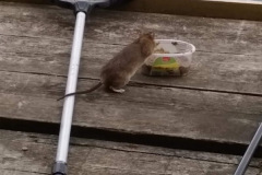 f4927ed8-daff-4bd5-9553-94c991c31dea